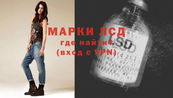 винт Верея