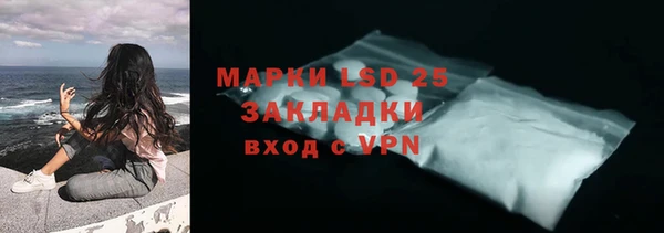 винт Верея