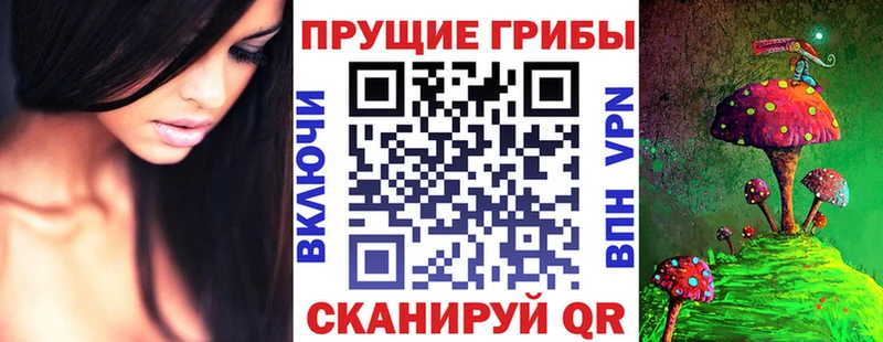 что такое   Нефтеюганск  Псилоцибиновые грибы ЛСД 
